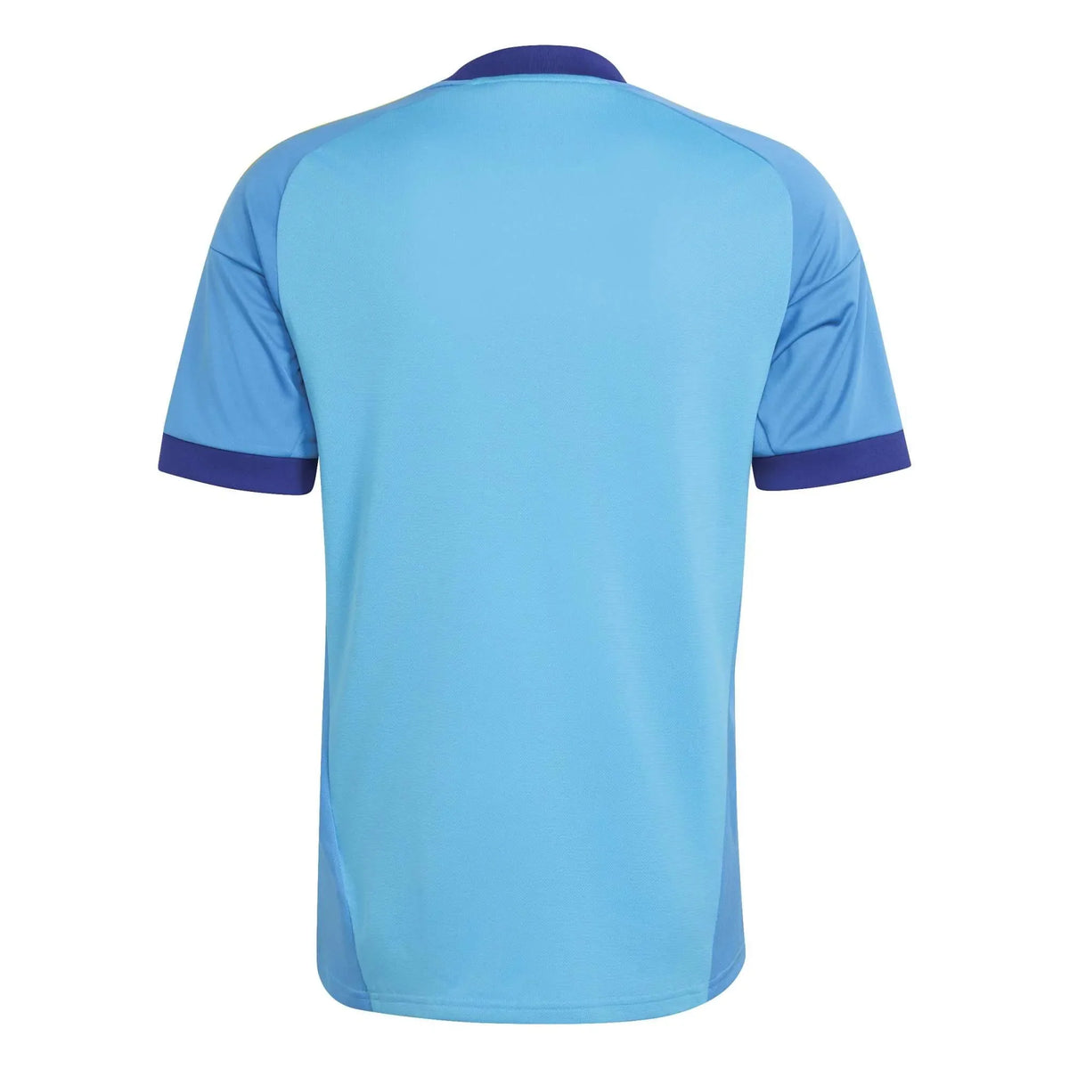 Goalkeeper Blue 26/27 Fan Shirt