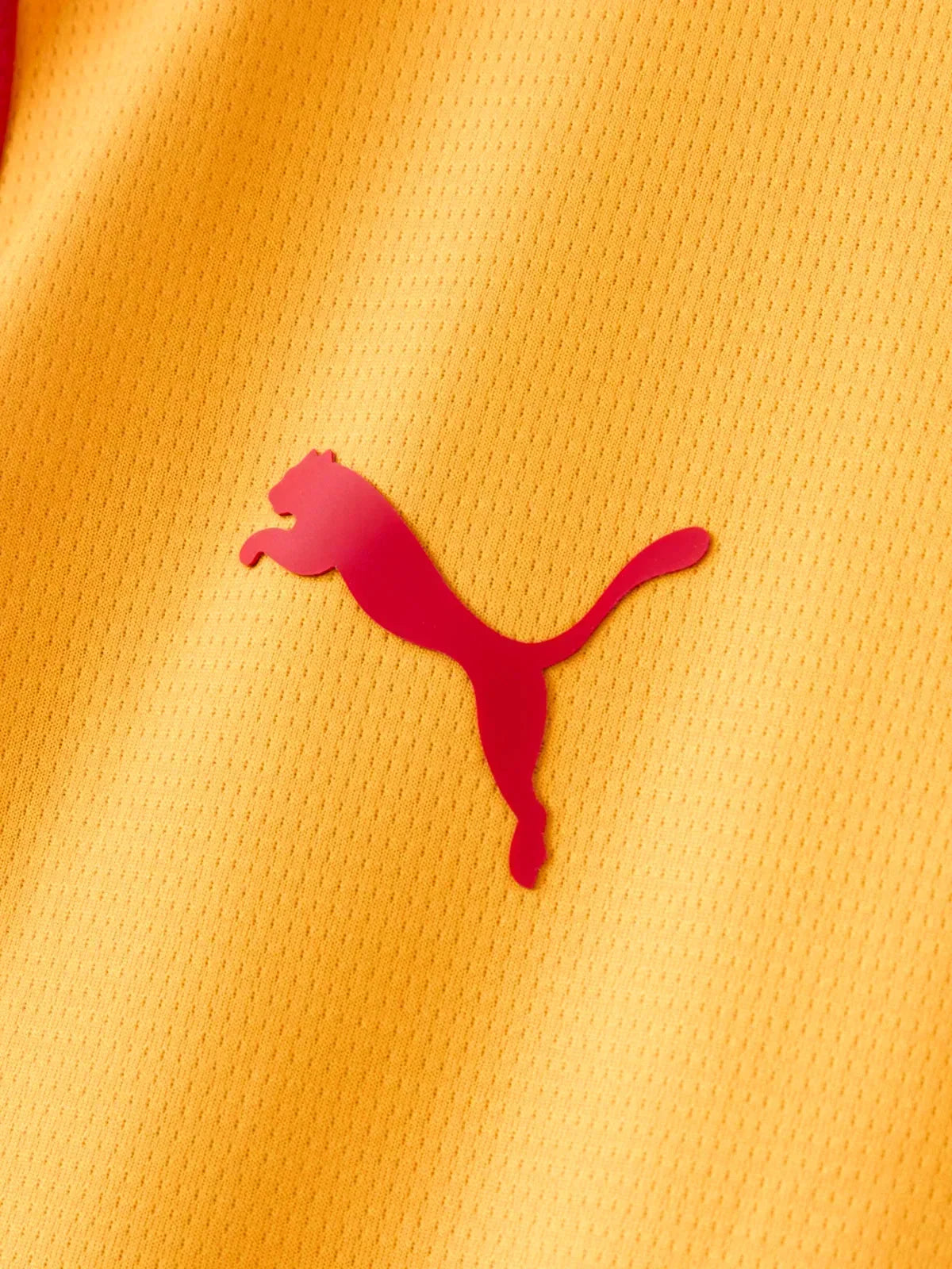 Third 26/27 Men's Fan Jersey II 055