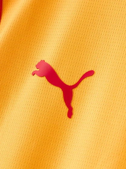 Third 26/27 Men's Fan Jersey II 055