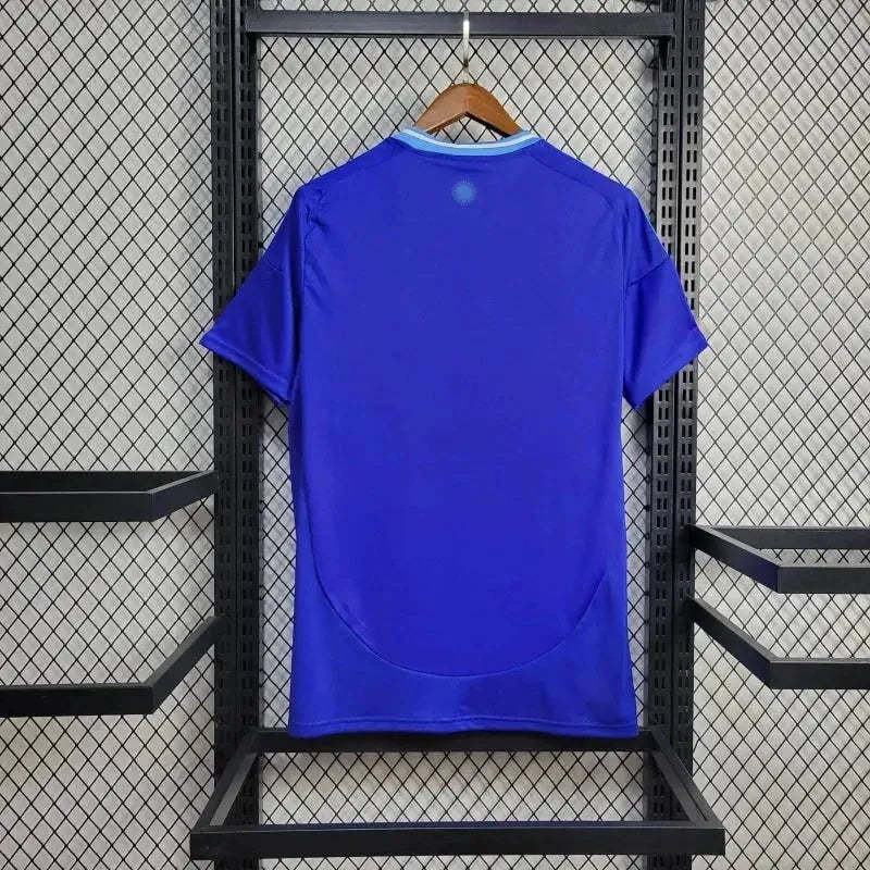 Away 24/25 Fan Shirt