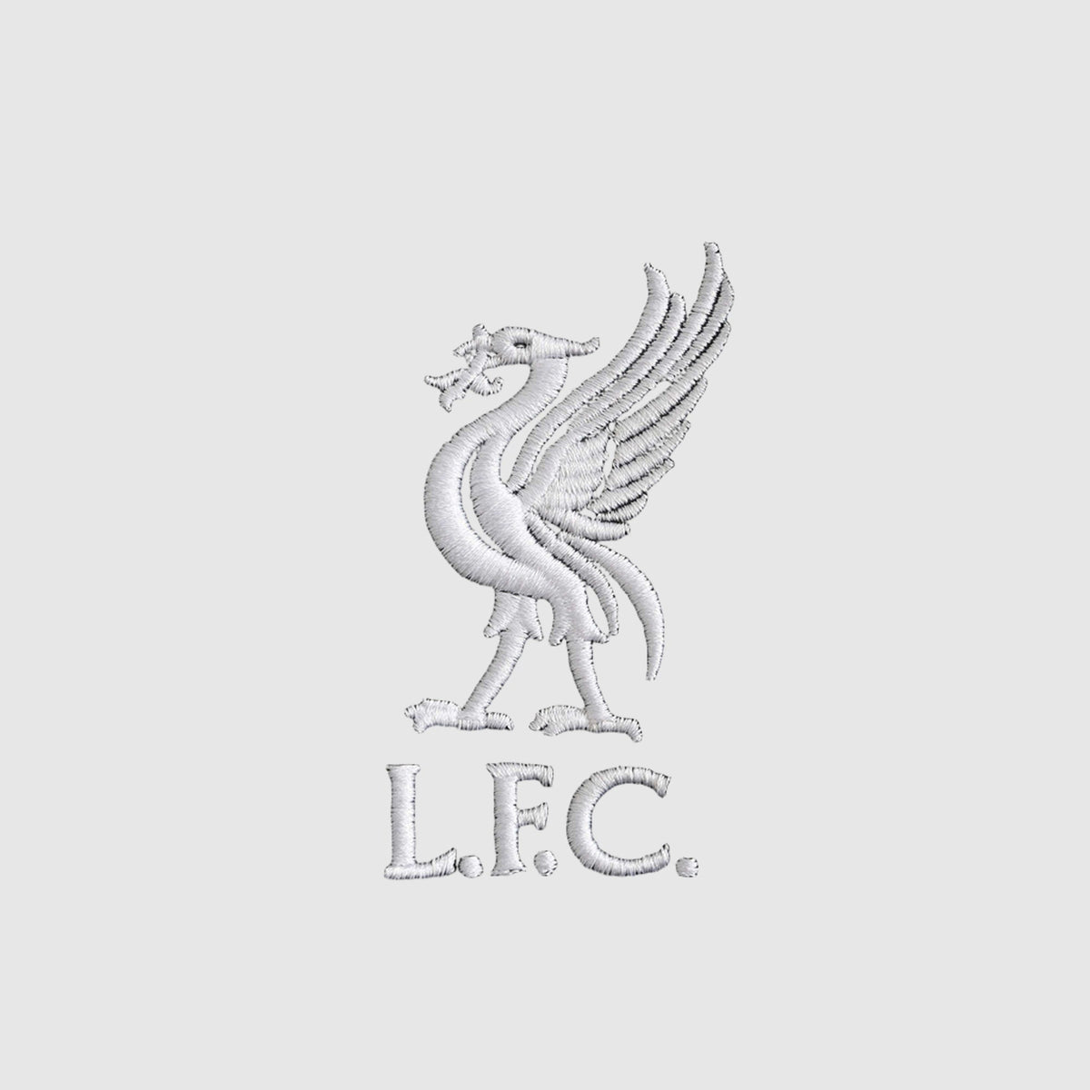 Away 24/25 Fan Shirt