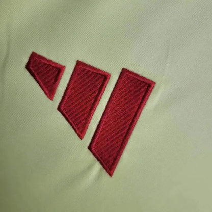 Away 24/25 Fan Shirt