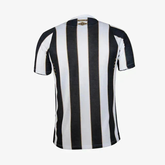 Away 24/25 Fan Shirt