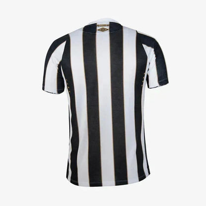 Away 24/25 Fan Shirt