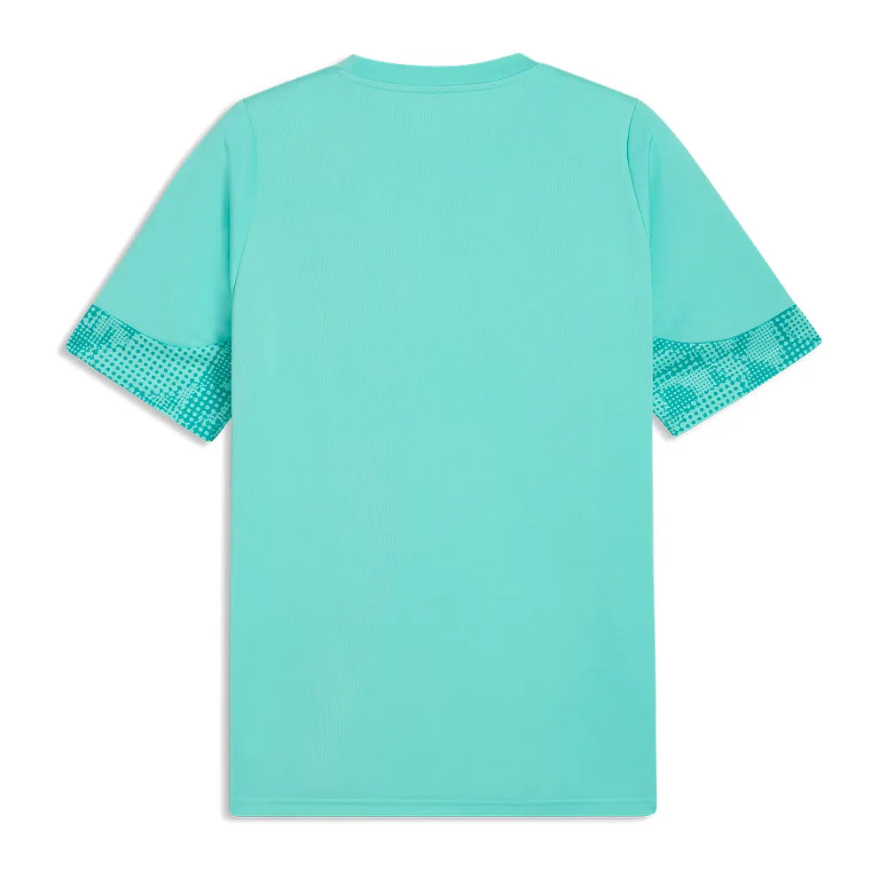 Training 26/27 Fan Shirt